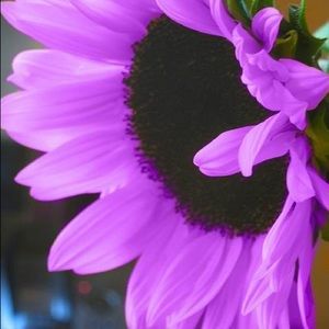 Meet your Posher, Deborah